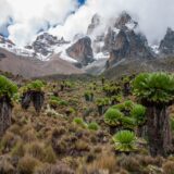 Mount Kenya 2022 | Erlebnisrundreisen.de