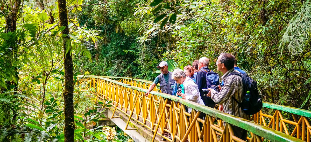 Im Ranomafana-Nationalpark