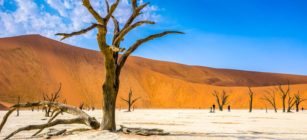 Tote Bäume im Deadvlei