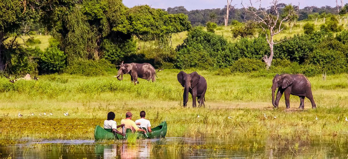 Studienreise Botswana, Namibia & Simbabwe 2024 | Erlebnisreisen-Afrika.de
