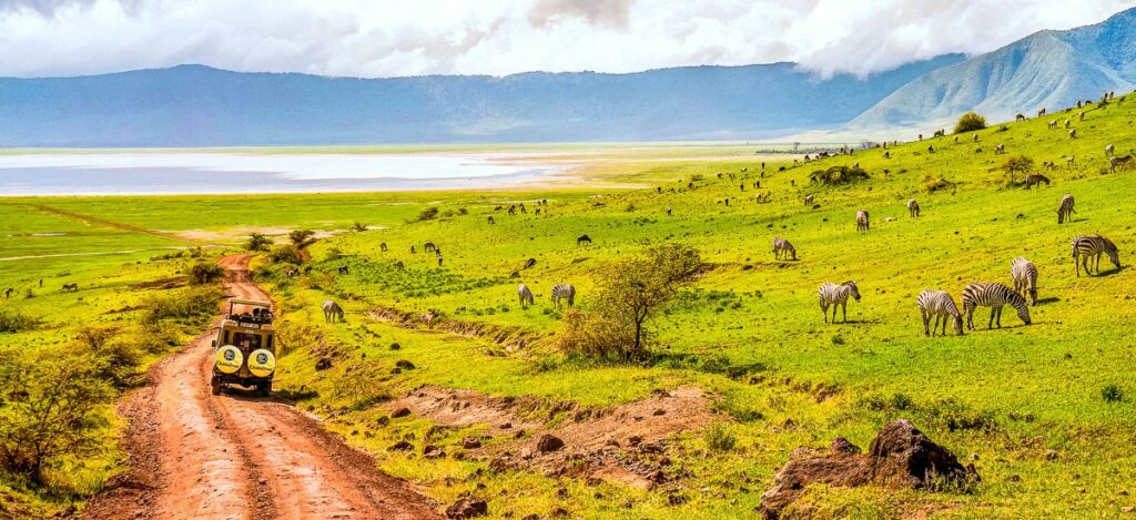Safari im Ngorongoro-Krater