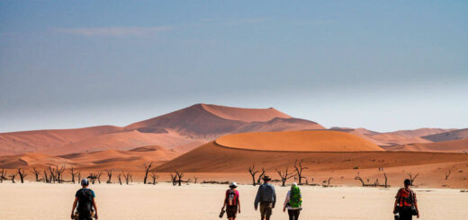 Dead Vlei - Hans-Joachim Werz | erlebnisreisen-afrika.de