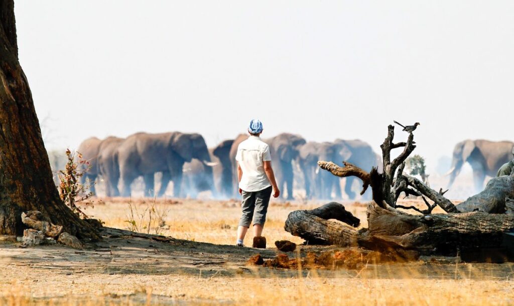 Fußsafari in Botswana