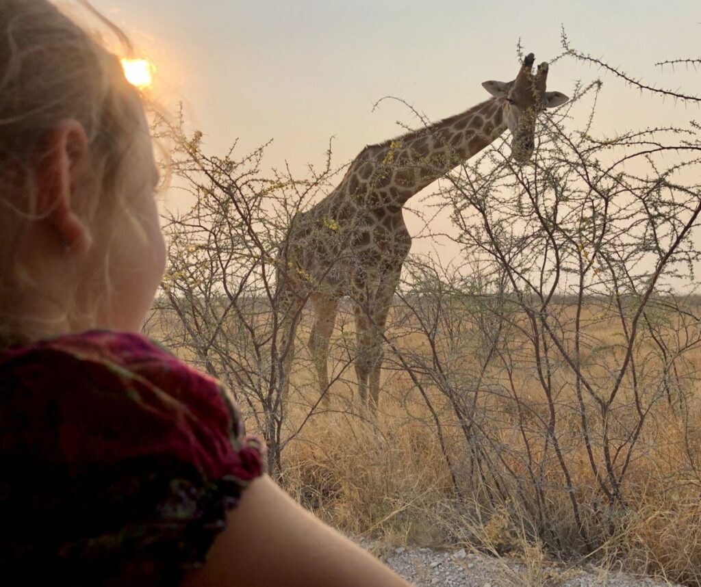 Namibia mit Kindern und Giraffen