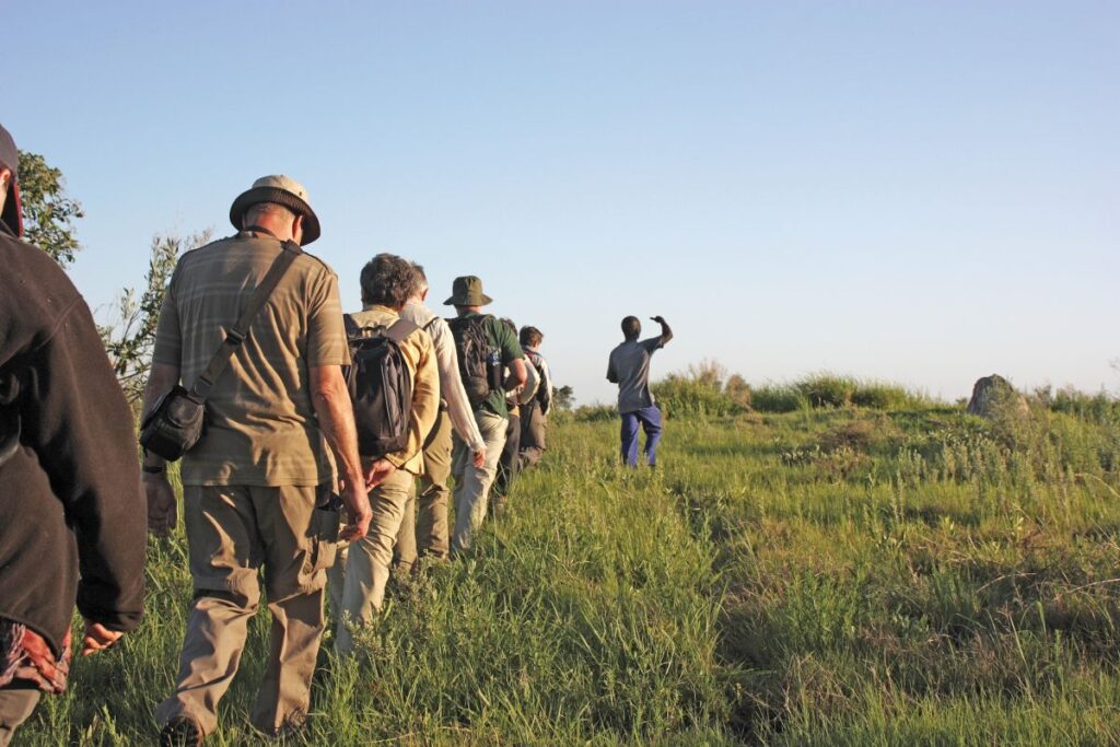 Auf Pirschwanderung im Okavango-Delta