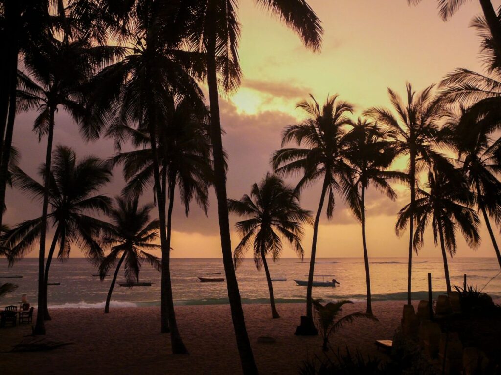 Am Strand der Coconut Beach Lodge