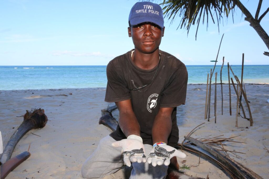 Schildkrötenschutzprojekt an der Coconut Beach Lodge