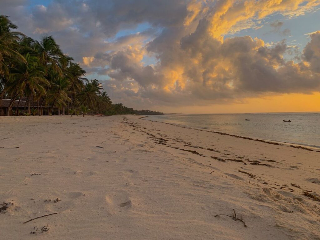 The Coconut Beach Lodge