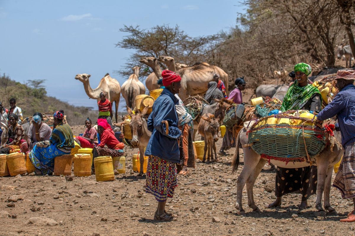 An einer Viehtränke auf dem Weg nach Marsabit