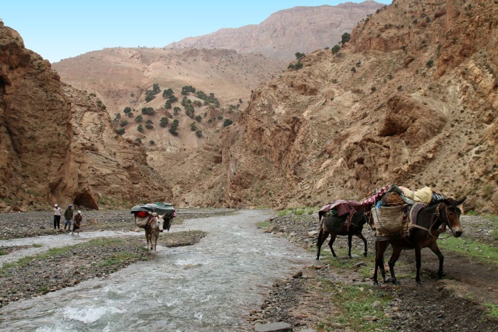 Flussquerung a la marocain