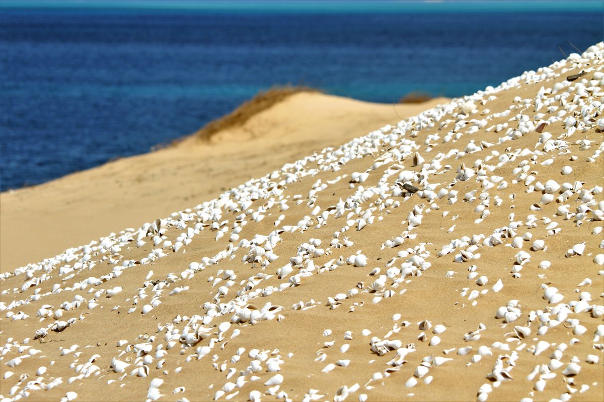 Muschelübersäte Dünen auf der Bazaruto-Insel
