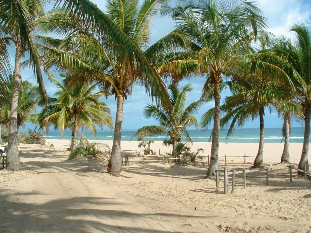Palmenstrand am Indischen Ozean