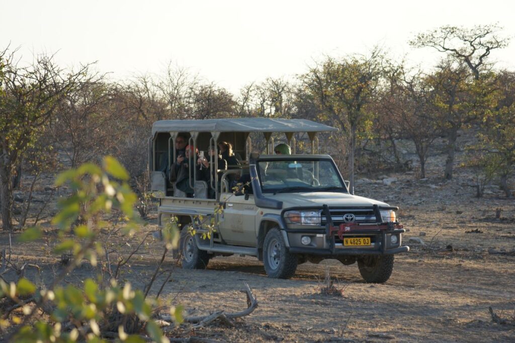 Early Game Drive im Etosha-Nationalpark