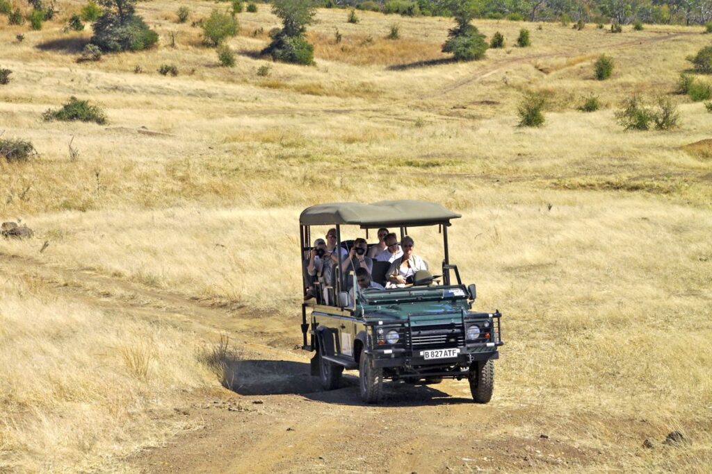Auf Pirsch in Botswana