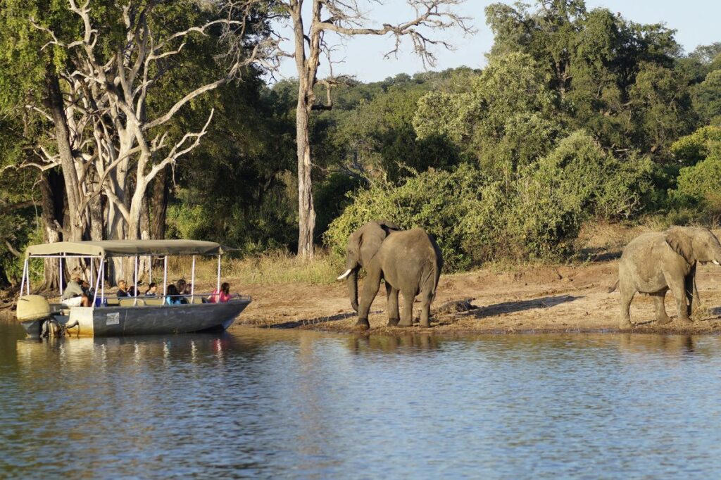 Bootsfahrt auf dem Chobe