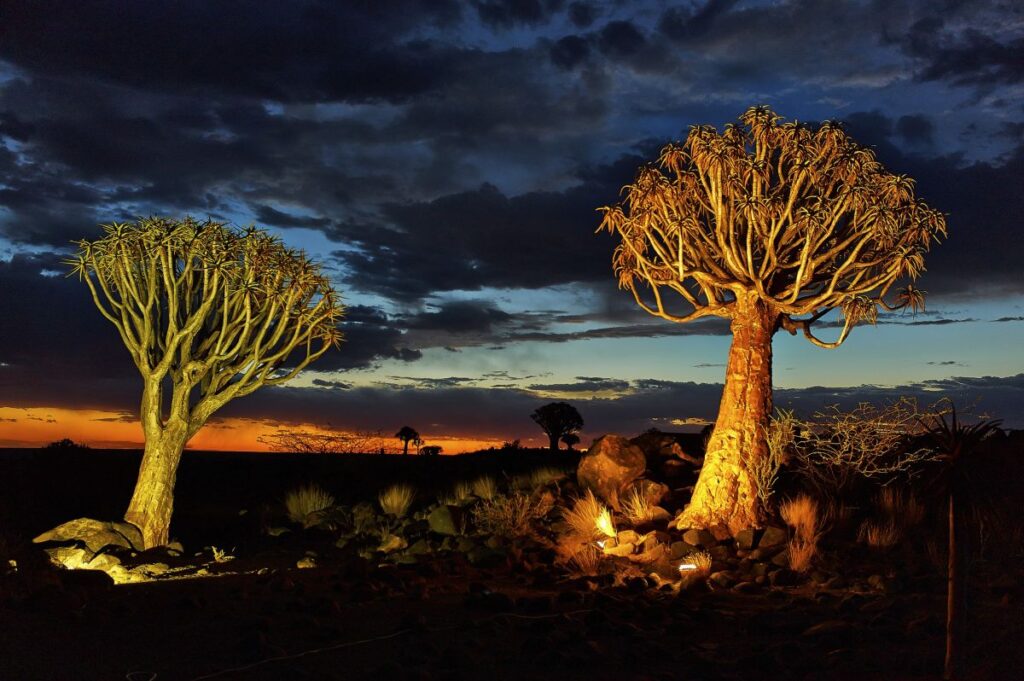 Namibia - der Süden