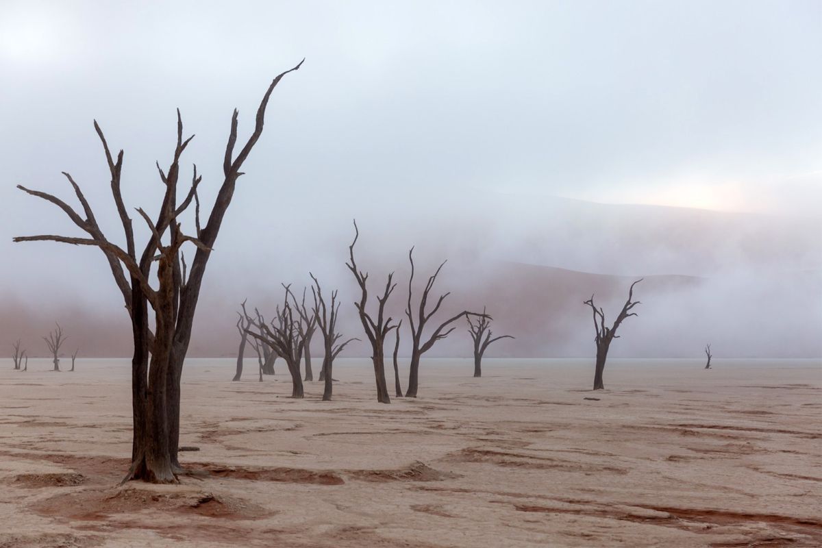 Sossusvlei
