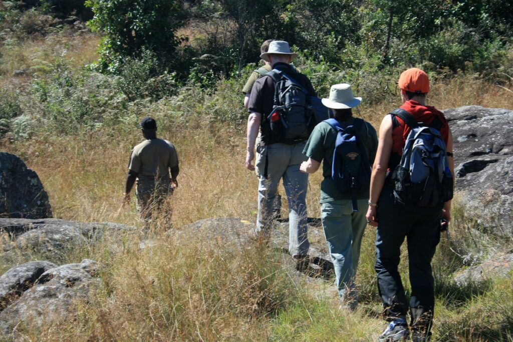 Pirsch im Krüger-Nationalpark