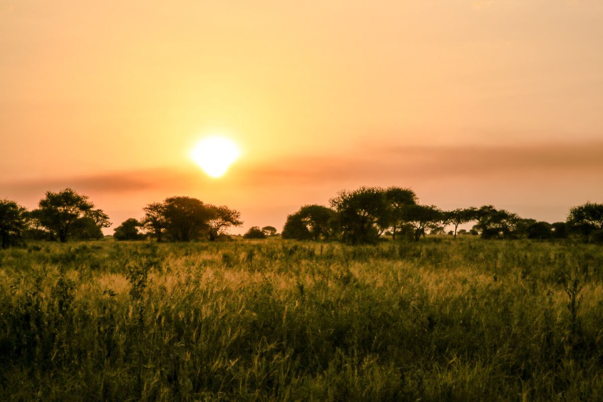 Ein Afrikanischer Sonnenuntergang