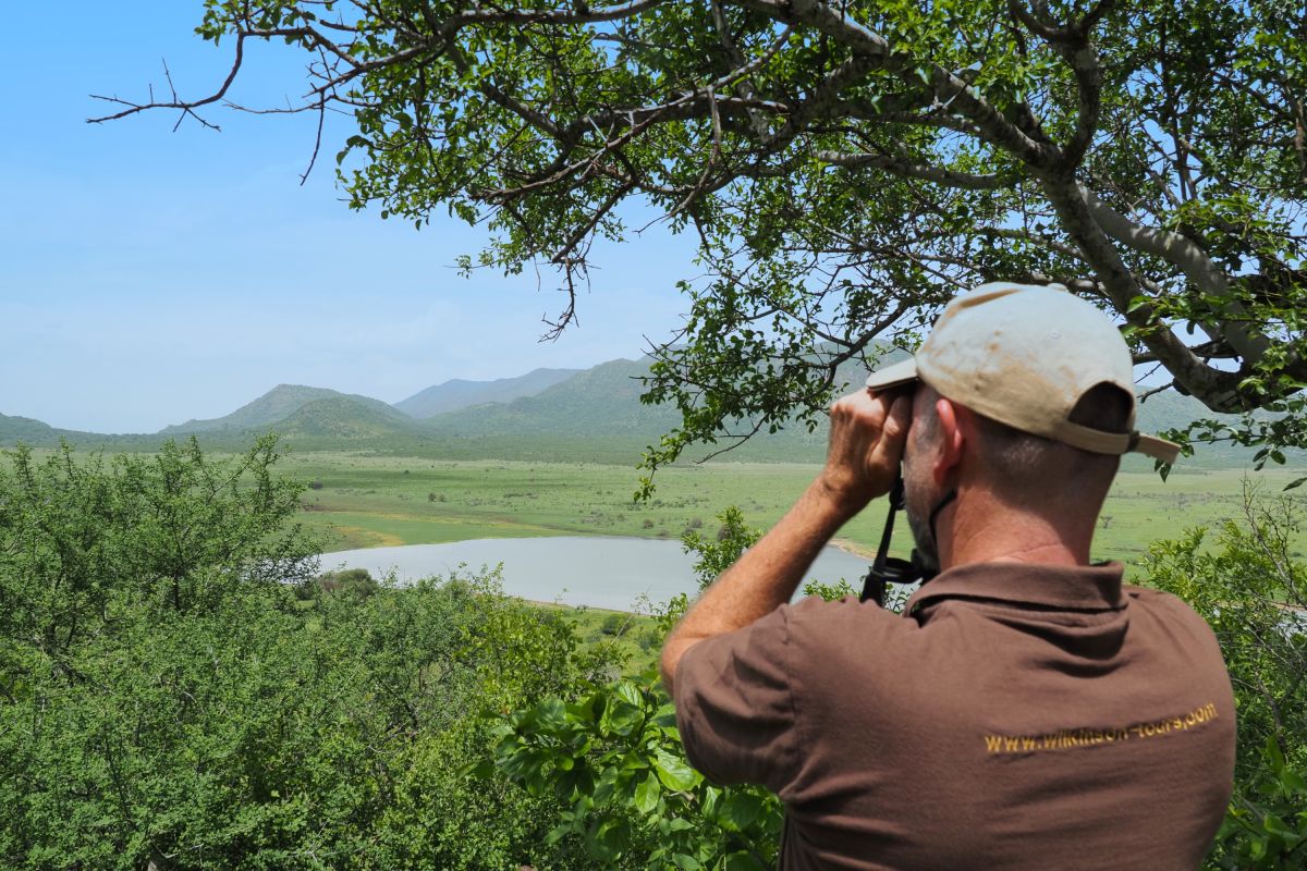 Mann schaut durchs Fernglas  im Mkomazi NP