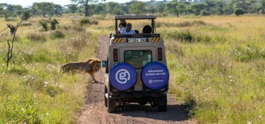 Kenia Gruppenreise 2024/2025 | Erlebnisreisen-afrika.de