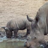 Botswana Gruppenreise 2024/2025 | Erlebnisreisen-afrika.de