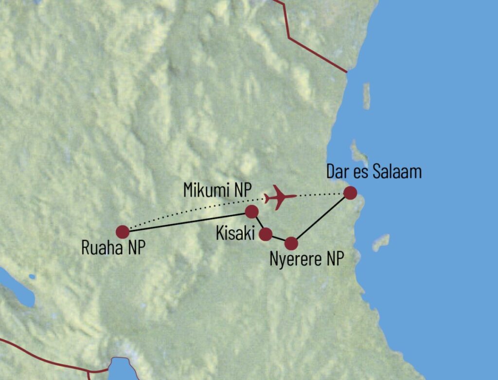 1200-1281.jpeg