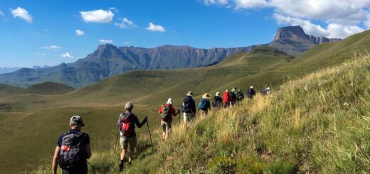Südafrika Gruppenreise 2024/2025 | Erlebnisreisen-afrika.de