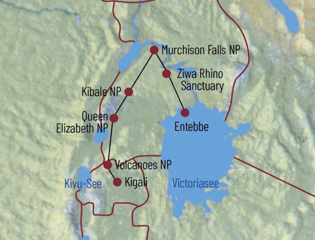 1200-1120.jpeg