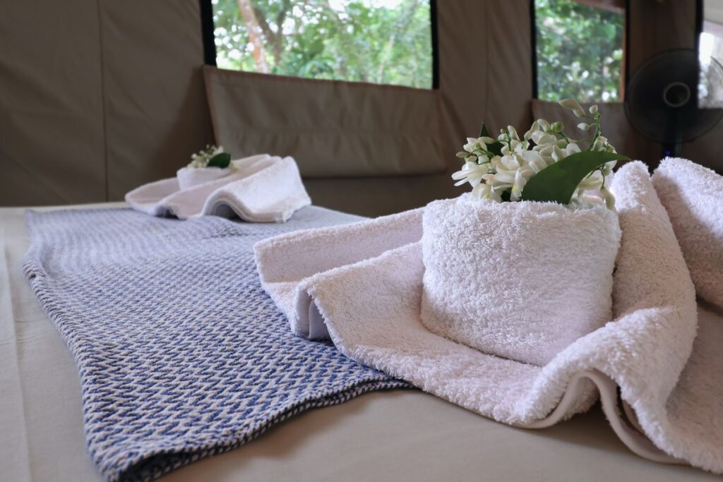 Ndola Camp