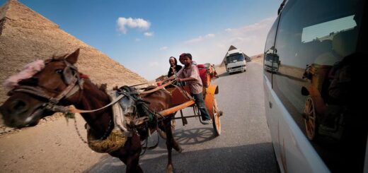 Ägypten Gruppenreise 2024/2025 | Erlebnisreisen-afrika.de