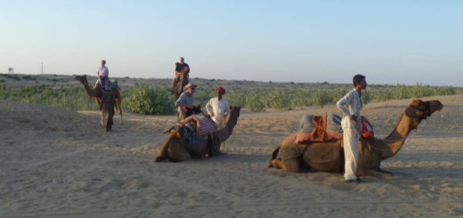 Kameltour in der Wüste Thar - Nicole Kuhn | erlebnisreisen-afrika.de