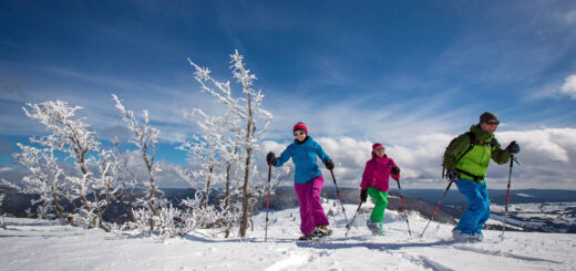 Mit Schneeschuhen auf den Feldberg - Baschi Bender - Baschi Bender / Hochschwarzwald Tourismus | erlebnisreisen-afrika.de