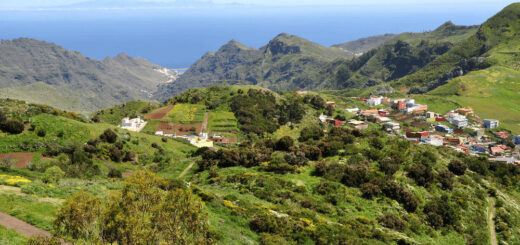 Blick auf Gran Canaria von La Laguna - Johanna Söhner | erlebnisreisen-afrika.de