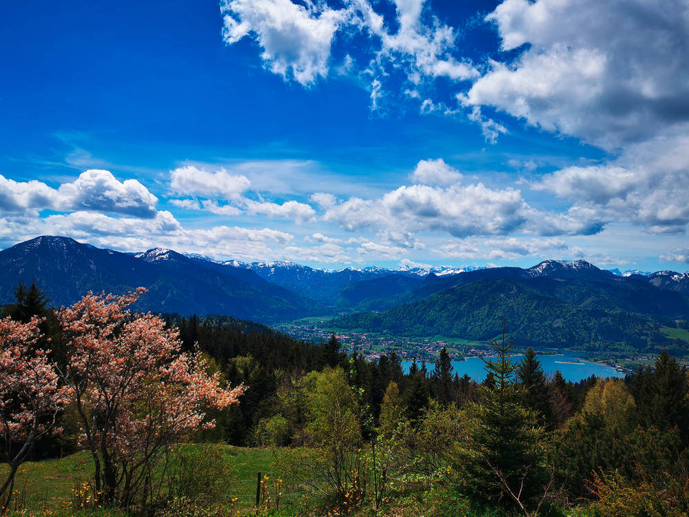 Blick von der Neureuth - Peter Bartel | erlebnisreisen-afrika.de