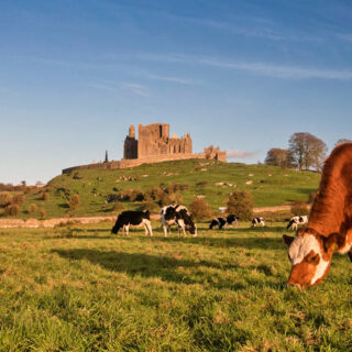 Rock of Cashel - Tourism Ireland - ©Fáilte Ireland/Tourism Ireland | erlebnisreisen-afrika.de
