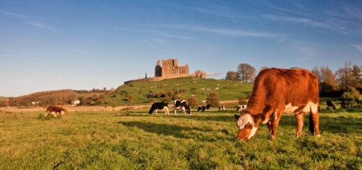 Rock of Cashel - Tourism Ireland - ©Fáilte Ireland/Tourism Ireland | erlebnisreisen-afrika.de