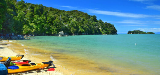 Kajaktour im Abel Tasman National Park - Susanne Fritzsche - © Susanne Fritzsche / Adobe.com | erlebnisreisen-afrika.de