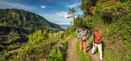 Levada dos Tornos - Dominik Ketz | erlebnisreisen-afrika.de