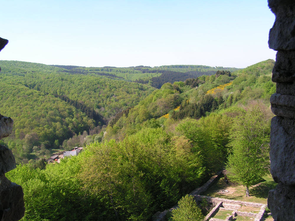 Saar-Hunsrück-Steig mit Grimburger Hof im Wadrilltal - Michael Jarmuschewski - © Deutsches Wanderinstitut | erlebnisreisen-afrika.de