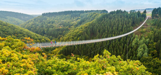 Die Hängeseilbrücke Geierlay im Hunsrück - Dominik Ketz - Dominik Ketz / Rheinland-Pfalz Tourismus GmbH | erlebnisreisen-afrika.de