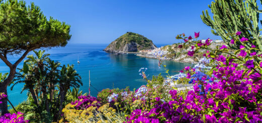 Blühendes Ischia - Vivida Photo PC - © Vivida Photo PC / Adobe.com | erlebnisreisen-afrika.de