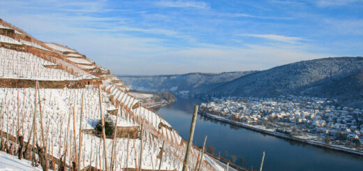 Blick auf die Mosel - Victoria Mölich-RLP Tourismus GmbH - © Victoria Mölich / Rheinland-Pfalz Tourismus GmbH | erlebnisreisen-afrika.de