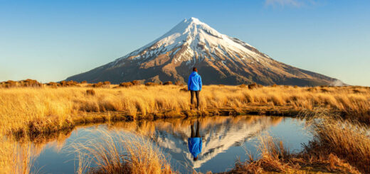 Blick auf den Mount Taranaki - Jonas Bohndorf | erlebnisreisen-afrika.de
