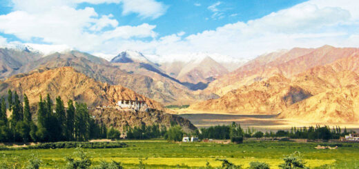 Landschaft in Ladakh - Edda Grönhoff | erlebnisreisen-afrika.de