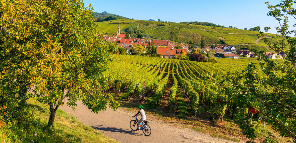 Radeln im Elsass - pkazmierczak - pkazmierczak / Adobe.com | erlebnisreisen-afrika.de