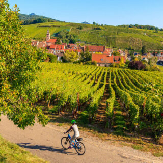 Radeln im Elsass - pkazmierczak - pkazmierczak / Adobe.com | erlebnisreisen-afrika.de