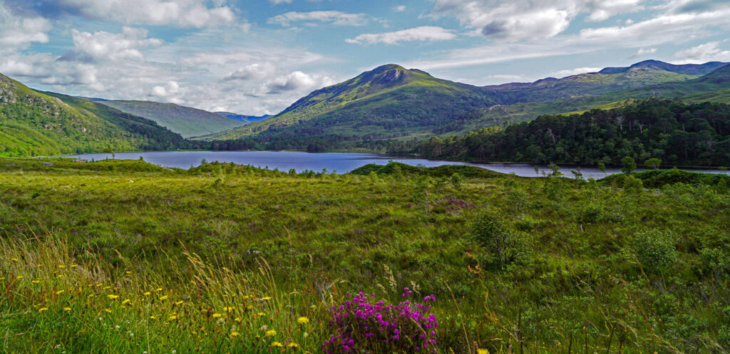 Loch Maree - BabettsBildergalerie - © BabettsBildergalerie / Adobe.com | erlebnisreisen-afrika.de