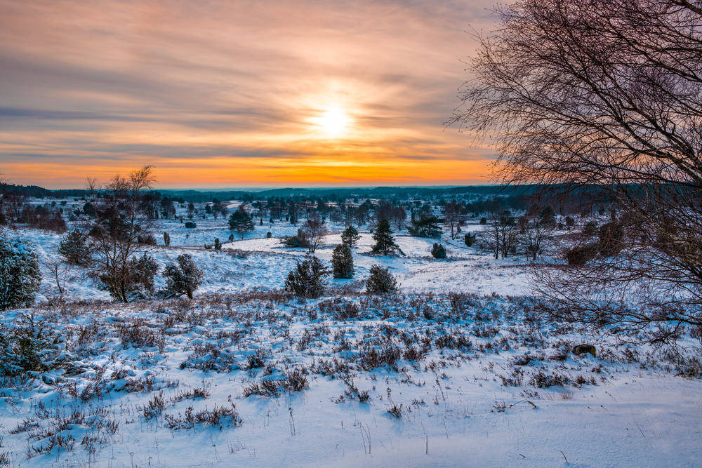 Die Lüneburger Heide imWinter - foto-select - © foto-select/adobe.stock | erlebnisreisen-afrika.de