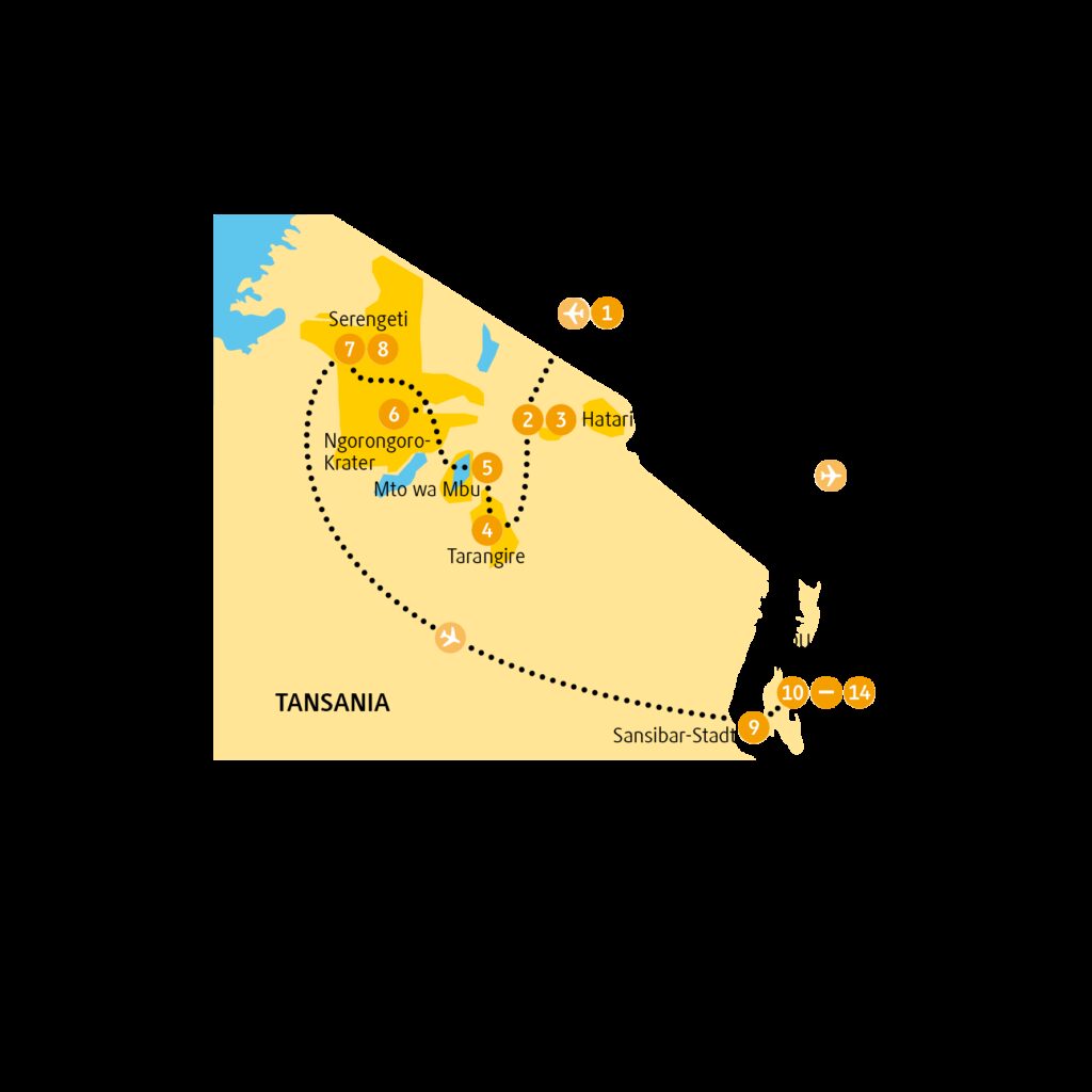 TZDCH-6